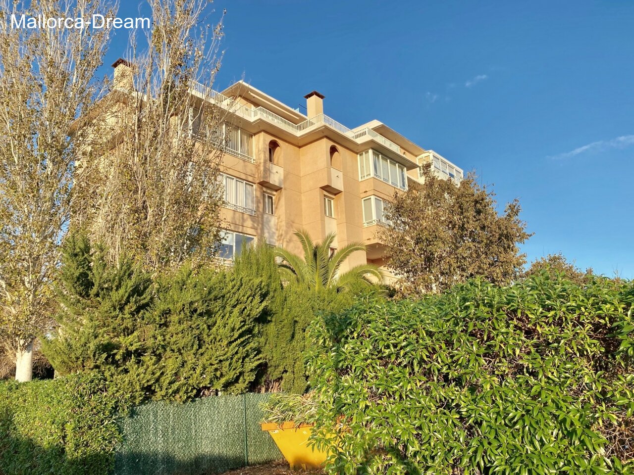 IMG 4909 ergebnis IMG 4909 ergebnis