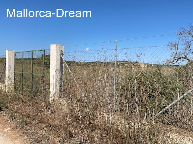 Porto Cristo: Building plot with license, in Sa Marineta with 14,018 m2, completely fenced Porto Cristo: Building plot with license, in Sa Marineta with 14,018 m2, completely fenced