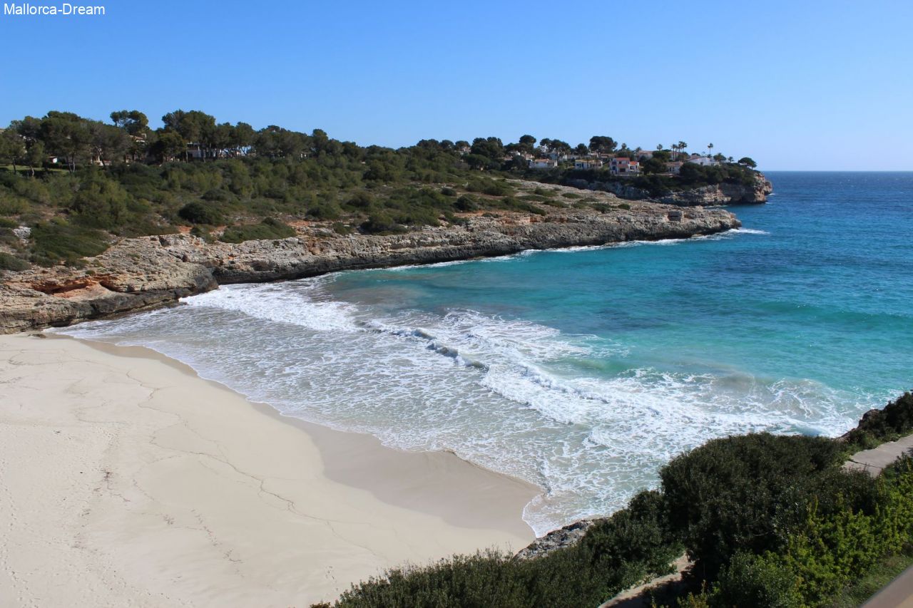 Cala Mandia: INVESTMENT: two plots close to the beach on a hillside for a house with pool 