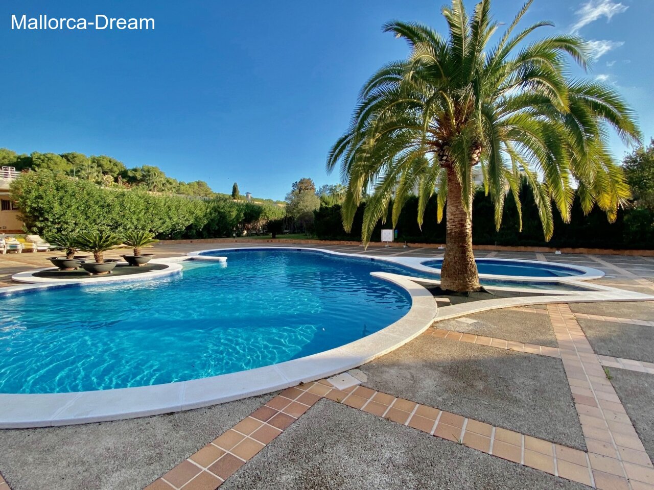 Sa Coma: Chices Apartment 