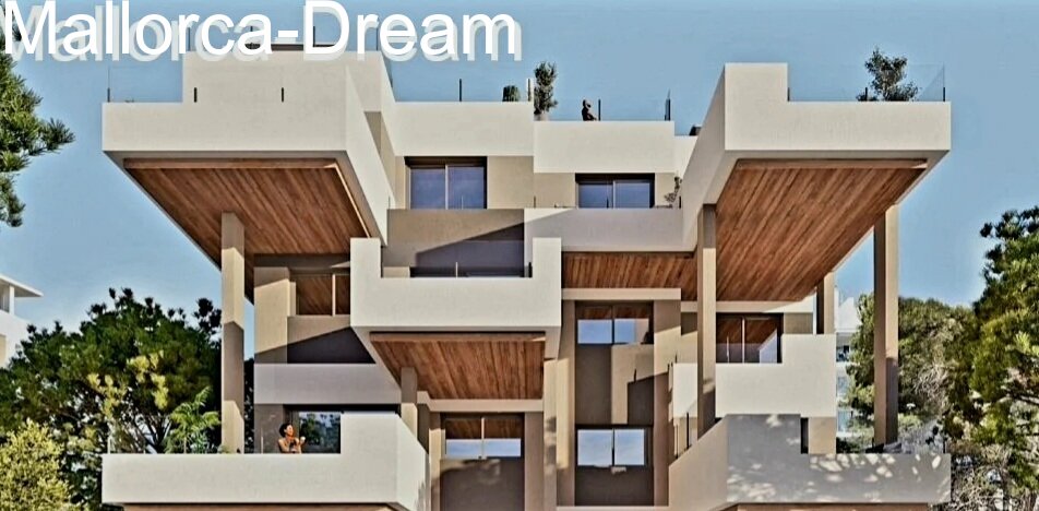 &nbsp;
