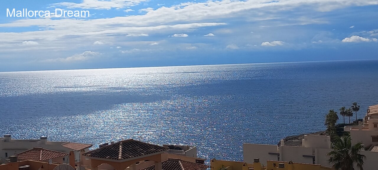 Porto Cristo Novo: Piso " TOP " con vistas al mar, balcón + terraza privado techo + piscina, jardín de palmeras + plaza de aparcamiento privada 