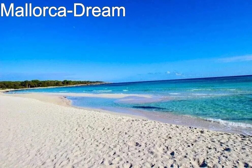 179741-7538-3-g 179741-7538-3-g