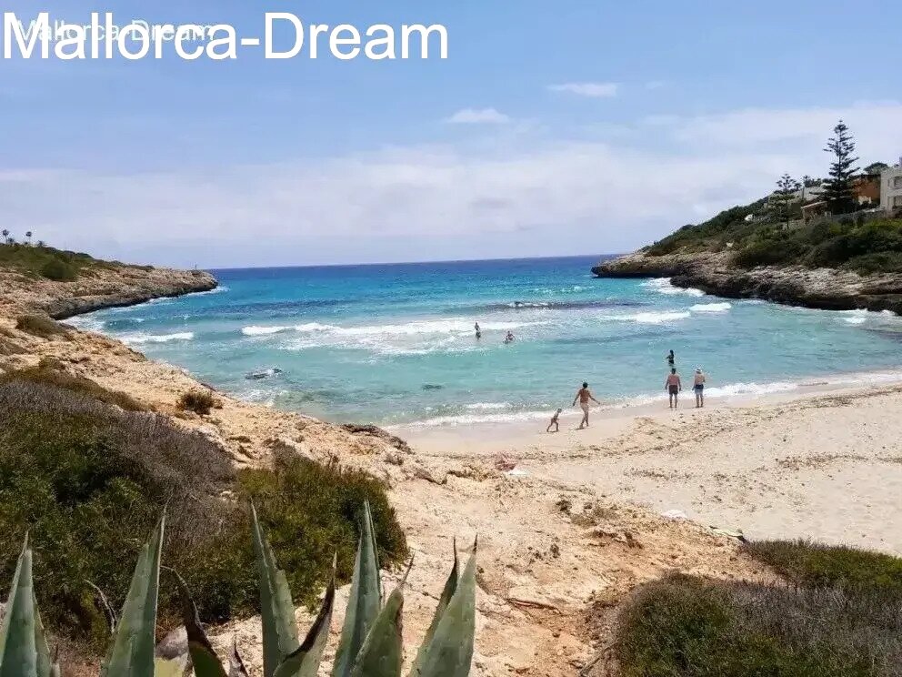 Porto Cristo Novo, Cala Anguila: Chalet con mobiliario de lujo de diseño, gran piscina y jardín de palmeras 